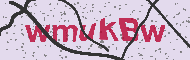 Güvenlik Kodu
