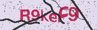 Güvenlik Kodu