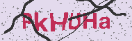 Güvenlik Kodu
