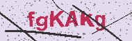 Güvenlik Kodu