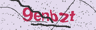 Güvenlik Kodu