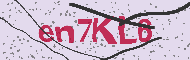 Güvenlik Kodu