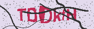 Güvenlik Kodu