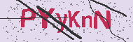 Güvenlik Kodu