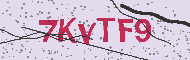 Güvenlik Kodu