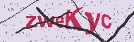 Güvenlik Kodu