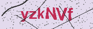 Güvenlik Kodu